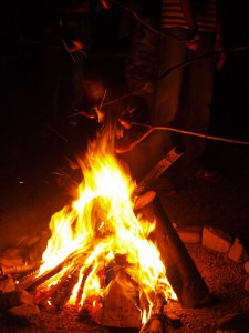 GPS_2009 (2)